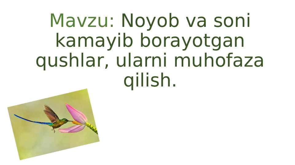 Noyob va soni kamayib borayotgan qushlar, ularni muhofaza qilish