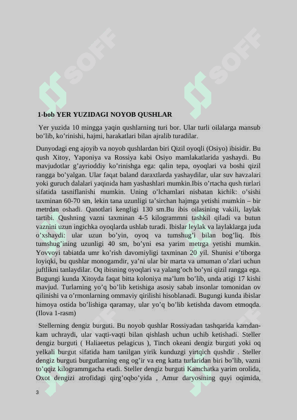 Yer yuzidagi noyob qushlar 3