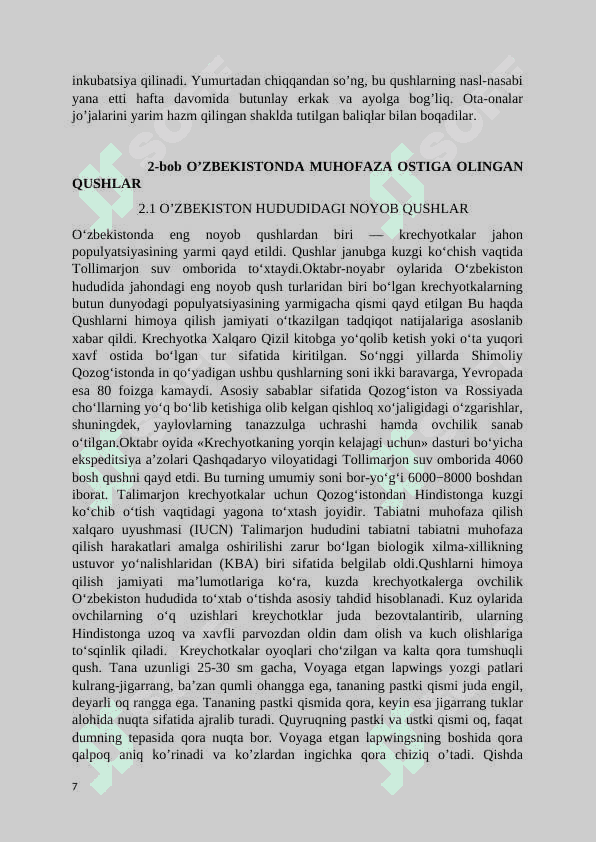 Yer yuzidagi noyob qushlar 7