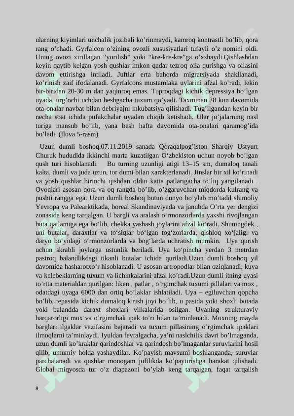 Yer yuzidagi noyob qushlar 8