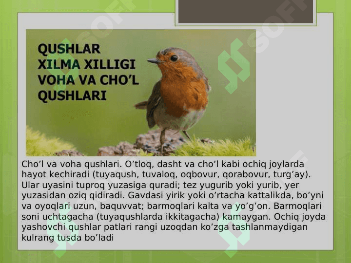 Qushlarning nasliga g'amxo'rlik qilishi 6