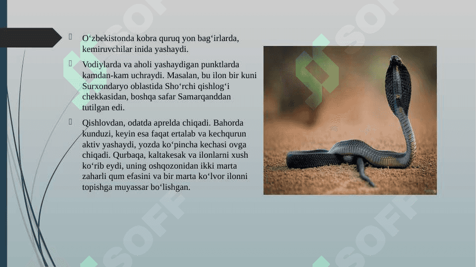 Ilonlar tuzilishi , xilma-xilligi,iqtisodiy ahamiyati 6