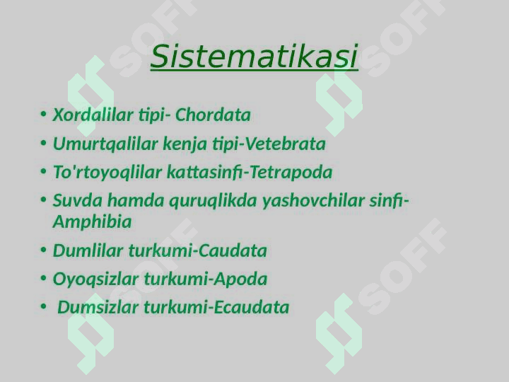 Suvda hamda quruqlikda yashovchilar sinfi 3