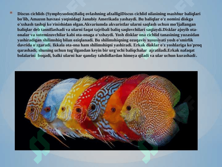 Baliqlarning ko’payishi va nasl haqida g’amxo’rligi 5
