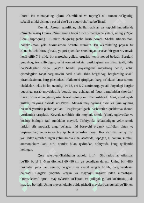 O’zbekistoning tog’ cho’l dashlarida o’sadigon o’simlaiklar 5