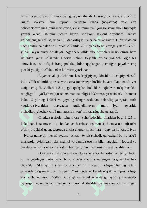 O’zbekistoning tog’ cho’l dashlarida o’sadigon o’simlaiklar 6