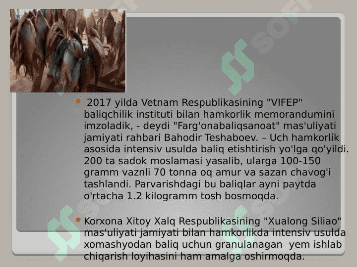 Baliqchilik,  uning iqtisodiy  ahamiyati. 5
