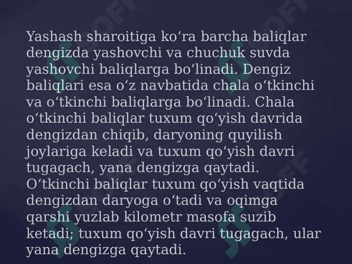 Dengiz va okeanlarda baliq ovlash 2