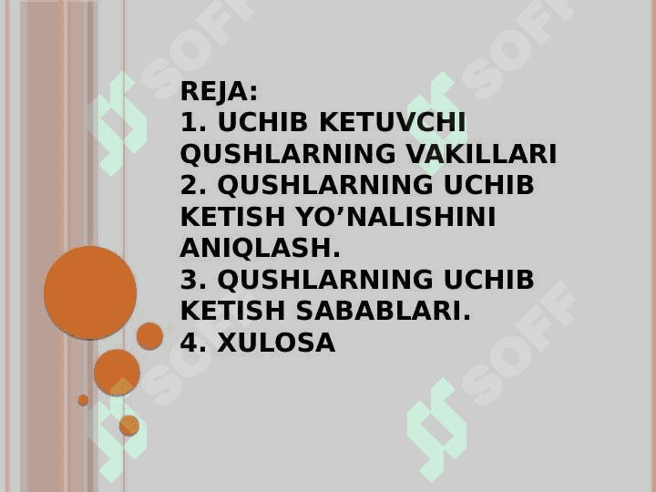 UCHIB KETUVCHI QUSHLAR, ASOSIY TURLARINING HAYOTI 2