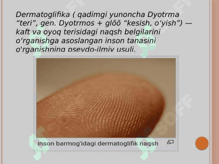 Dermatoglifika 2
