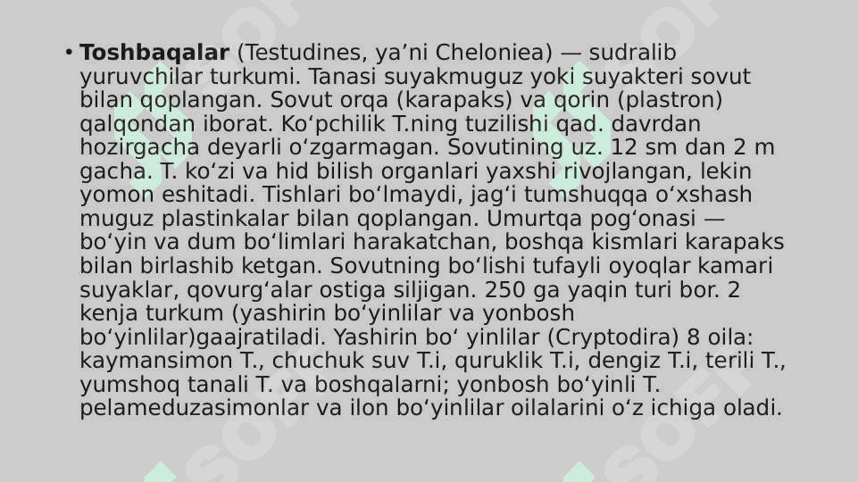 Toshbaqalar tuzulishining asasiy husussiyatlari,turlari,tarqalishi 3