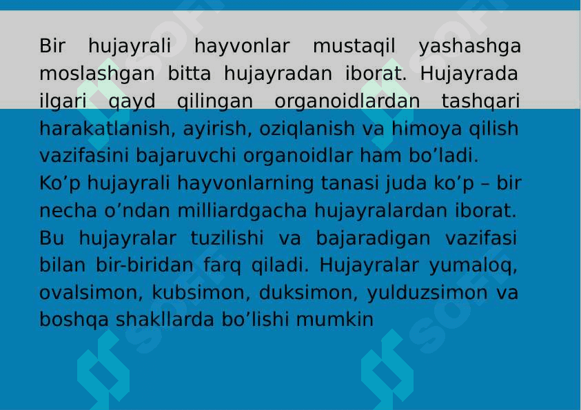 2-Mavzu: Bir hujayralilar kenja olami. Protozoa 3