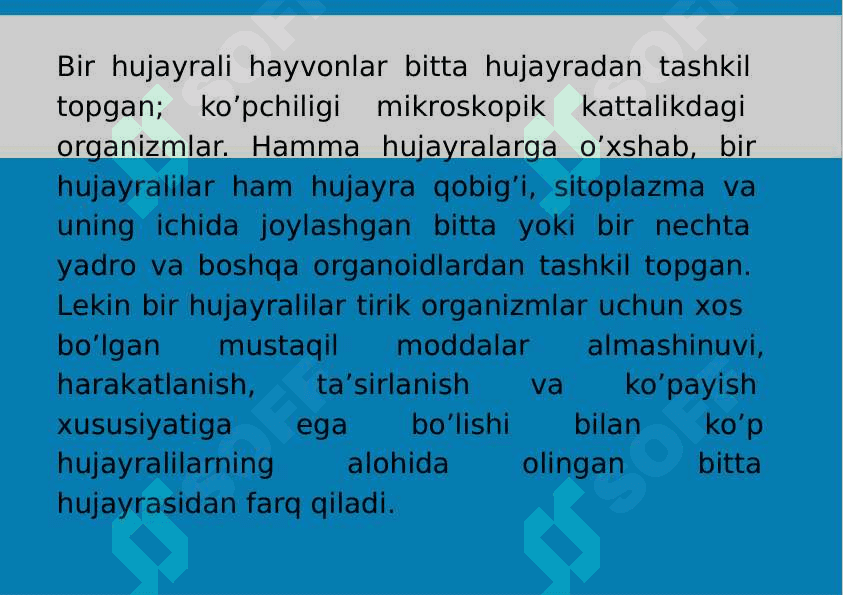 2-Mavzu: Bir hujayralilar kenja olami. Protozoa 4