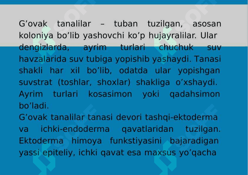 4-Mavzu: G’ovaktanlilar (Porifera) va Plastinkasimonlar(Placozoa) tiplari 2