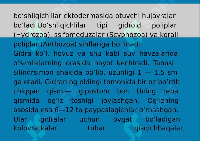 5-Mavzu: Eumetozoa. Bo‘shliqichlilar (Cnidaria) tipi. 4
