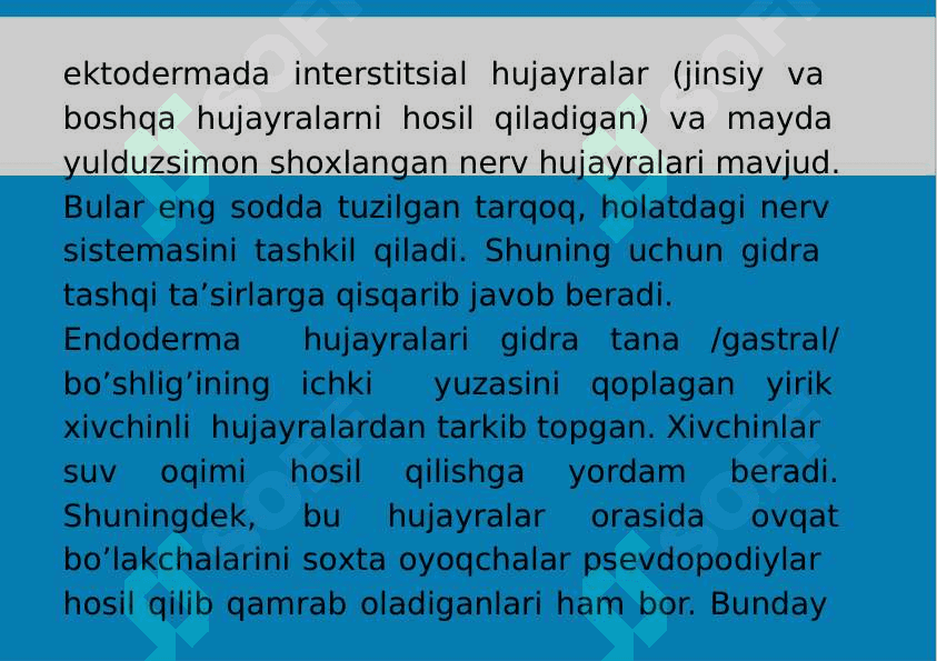 5-Mavzu: Eumetozoa. Bo‘shliqichlilar (Cnidaria) tipi. 7