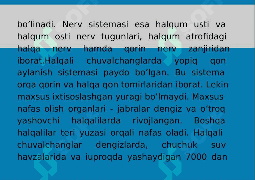 8-Mavzu: Halqali chuvalchanglar (Annelides) tipi. 4