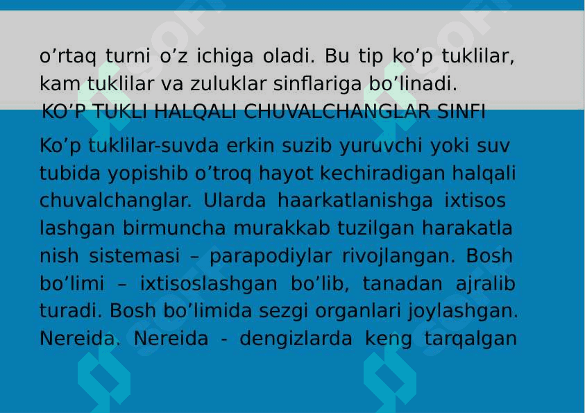 8-Mavzu: Halqali chuvalchanglar (Annelides) tipi. 5