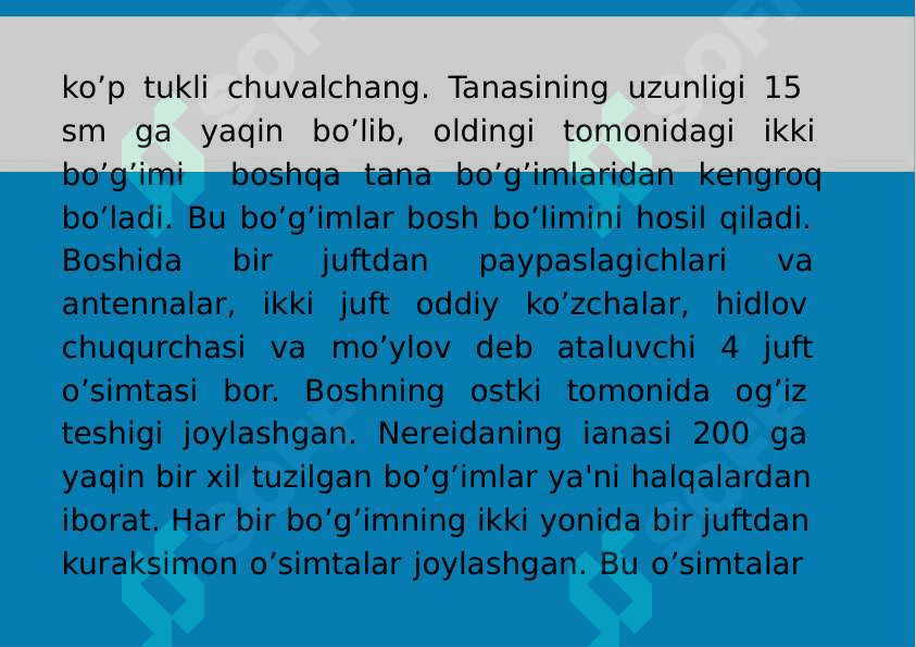 8-Mavzu: Halqali chuvalchanglar (Annelides) tipi. 6