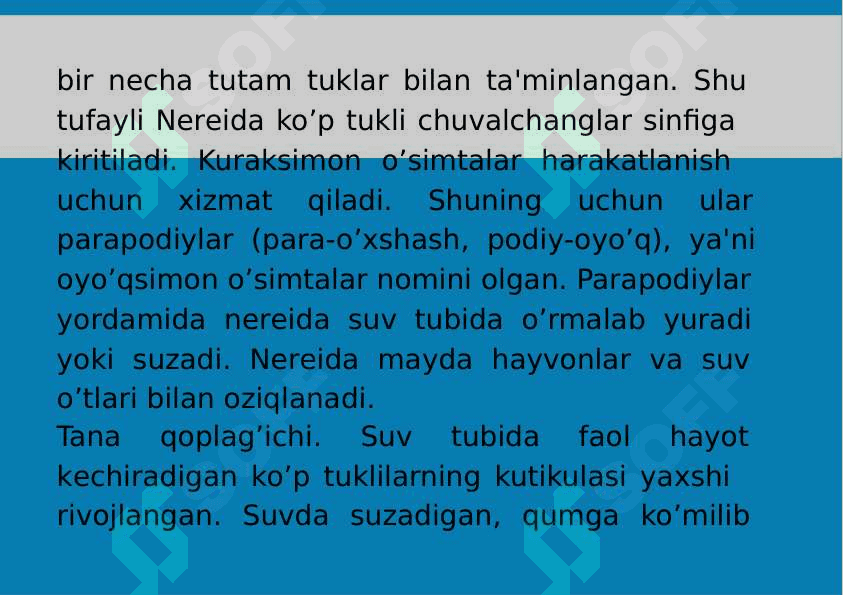 8-Mavzu: Halqali chuvalchanglar (Annelides) tipi. 7