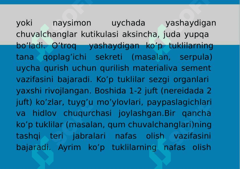 8-Mavzu: Halqali chuvalchanglar (Annelides) tipi. 8