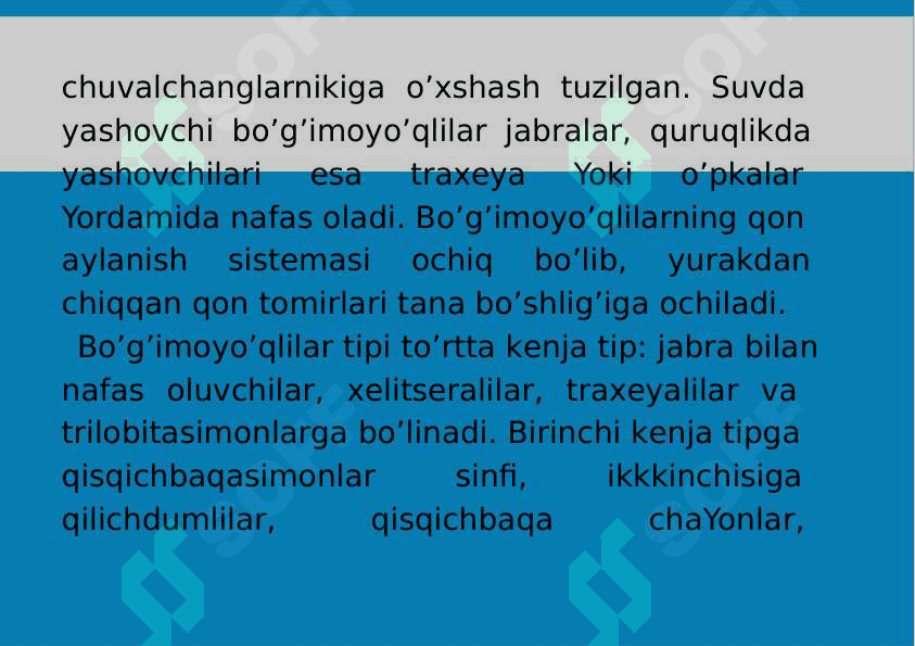 9-Mavzu: Bo‘g‘imoyoqlilar(Arthropoda) tipi. 3