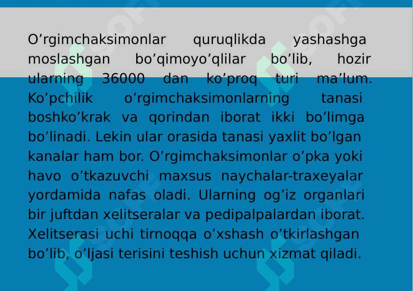 10-Mavzu: Xelitseralilar (Chelicerata) kenja tipi. 2