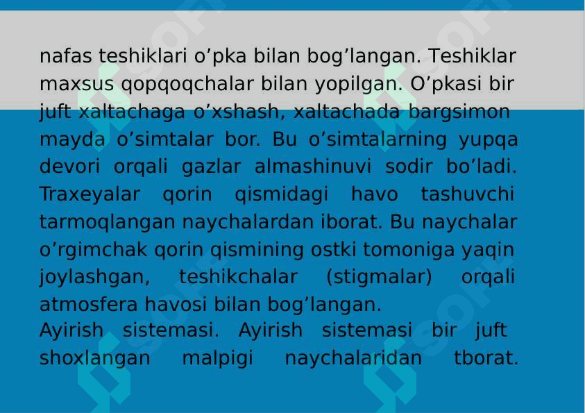10-Mavzu: Xelitseralilar (Chelicerata) kenja tipi. 8