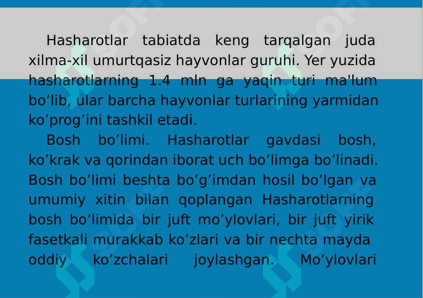 12-Mavzu: Traxeyalilar (Tracheata) kenja tipi 2