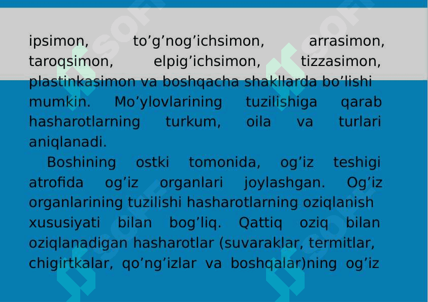 12-Mavzu: Traxeyalilar (Tracheata) kenja tipi 3