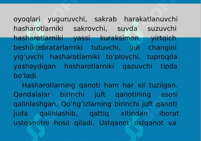 12-Mavzu: Traxeyalilar (Tracheata) kenja tipi 6