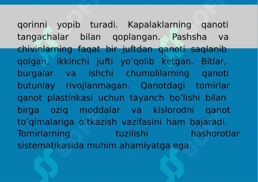 12-Mavzu: Traxeyalilar (Tracheata) kenja tipi 7