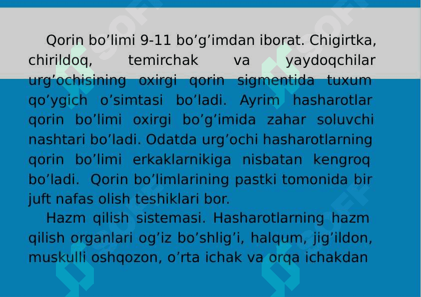 12-Mavzu: Traxeyalilar (Tracheata) kenja tipi 8