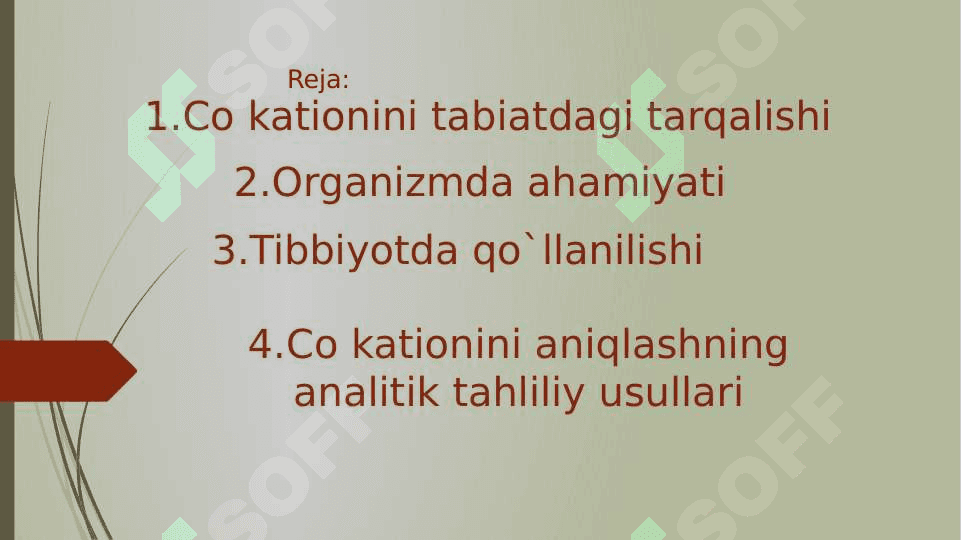 Co kationi ahamiyati. Co kationini organizmdagi ahamiyati. Tibbiyotda qo`llanilishi va dori 2