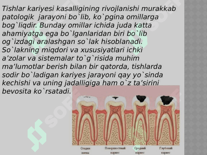 Karies kelib chiqishida mikroorganizmlar roli 2