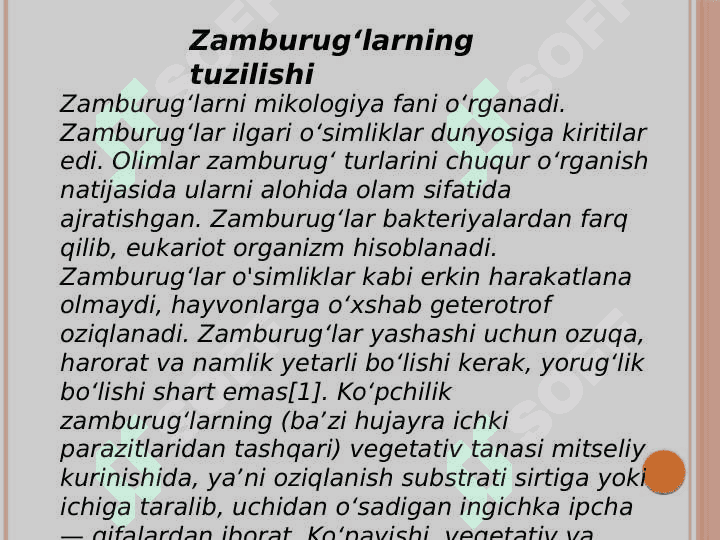 Zamburuglar, sodda jonivorlar. Ularning morfologiyasi,strukturasi va ularni o’rganish usuli 3