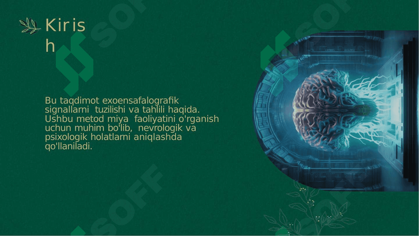 Exoensafalografik Signallarni  Tuzilishi va Ularning Tahlili 2