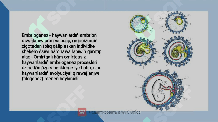 Embriologiya qaraqalpaq tilinde 2