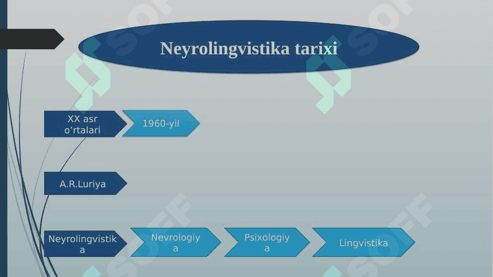 Neyrolingvistika 6