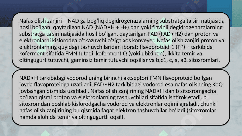 Mitoxondriyada oksidlanishli fosforlanish jarayoni.Nafas zanjiri 2