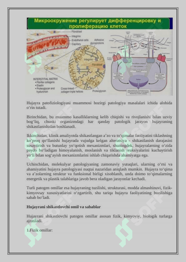 Hujayra patofiziologiyasi 4