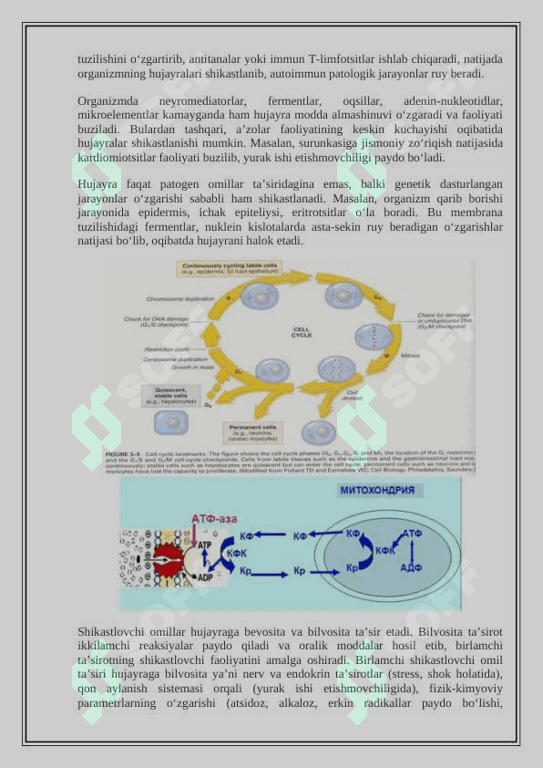 Hujayra patofiziologiyasi 6