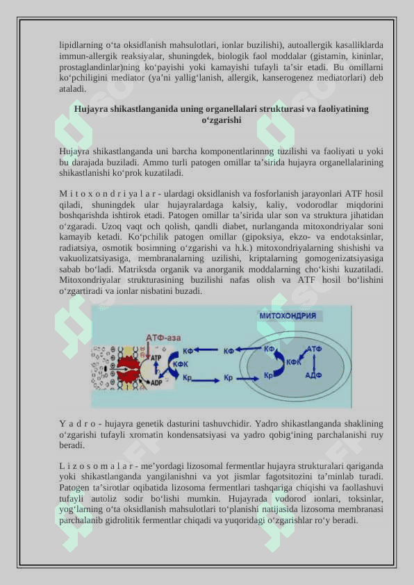 Hujayra patofiziologiyasi 7