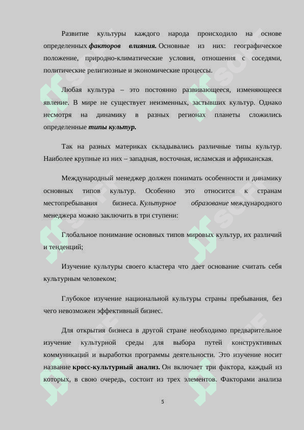 Роль культурный среды в изучении русского языка 5