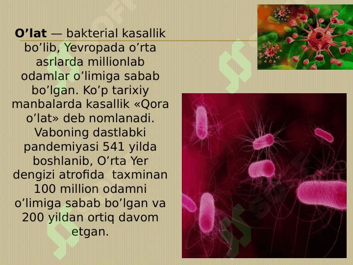 O’TA XAVFLI YUQUMLI KASALLIKLAR — TASNIFI, TURLARI, INFEKTSIYALAR TASHXISI 4