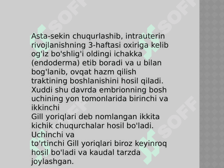 Yuz-jag' sohasi embriogenezi va homila embriogenezi davrida xafli davrlar.Yuzning tug'ma nuqsoni bilan tug'ilgan bolalarni dispanserizatsiya qilish va dispanser kuzatuvida bo'lishi. Yuzning tug'ma nuqsoni bilan tug'ilgan bolalarda mediko-genetik konsultatsiyaning axamiyati. Yuzning tug'ma nuqsoni bilan tug'ilgan bolalarni kompleks davo. 4