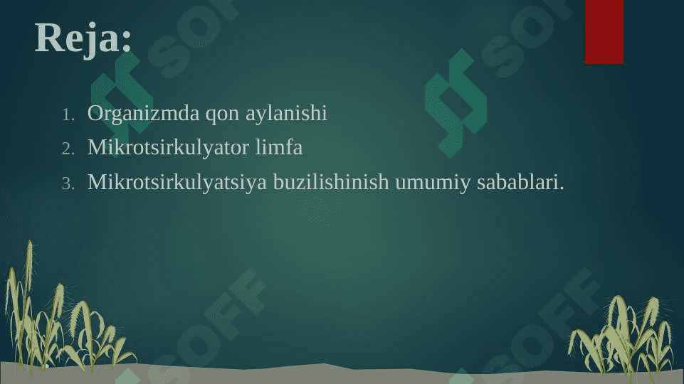 REGIONAR MIKROTSIRKULYATSIYANING BUZILISHI. 2