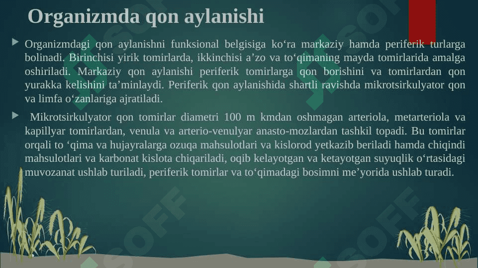 REGIONAR MIKROTSIRKULYATSIYANING BUZILISHI. 3