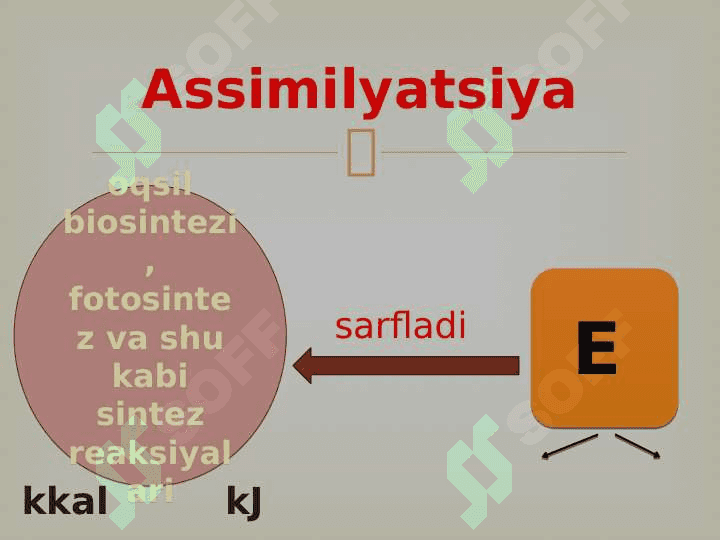 Tirik organizmlarning xususiyatlari 3