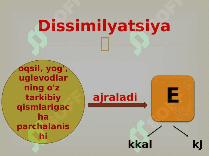 Tirik organizmlarning xususiyatlari 4